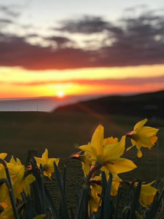Bunnahabhain 5 - Farm Stay - Stunning Sea And Rural Views Stranraer Exterior photo